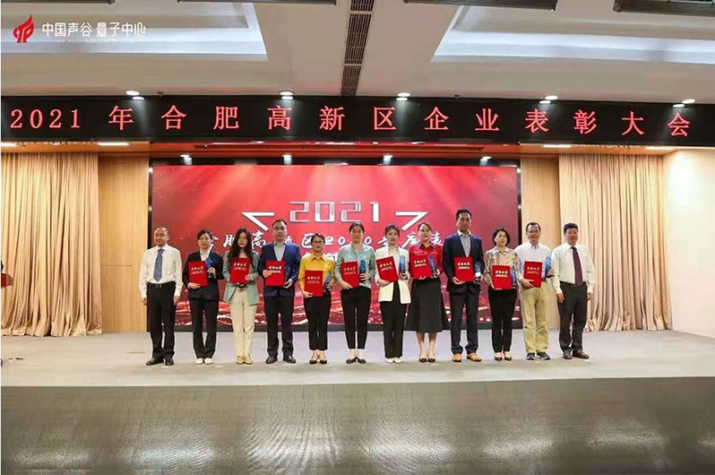 我司荣获合肥高新区2020年度优秀企业表彰