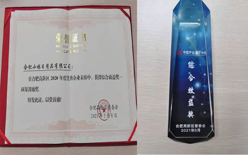 我司荣获合肥高新区2020年度优秀企业表彰